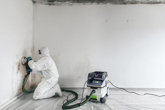 Festool CLEANTEC CTH 26 EI Absaugmobil mit Absauganlage bei Staubklasse H Sanierungsarbeiten an Wand